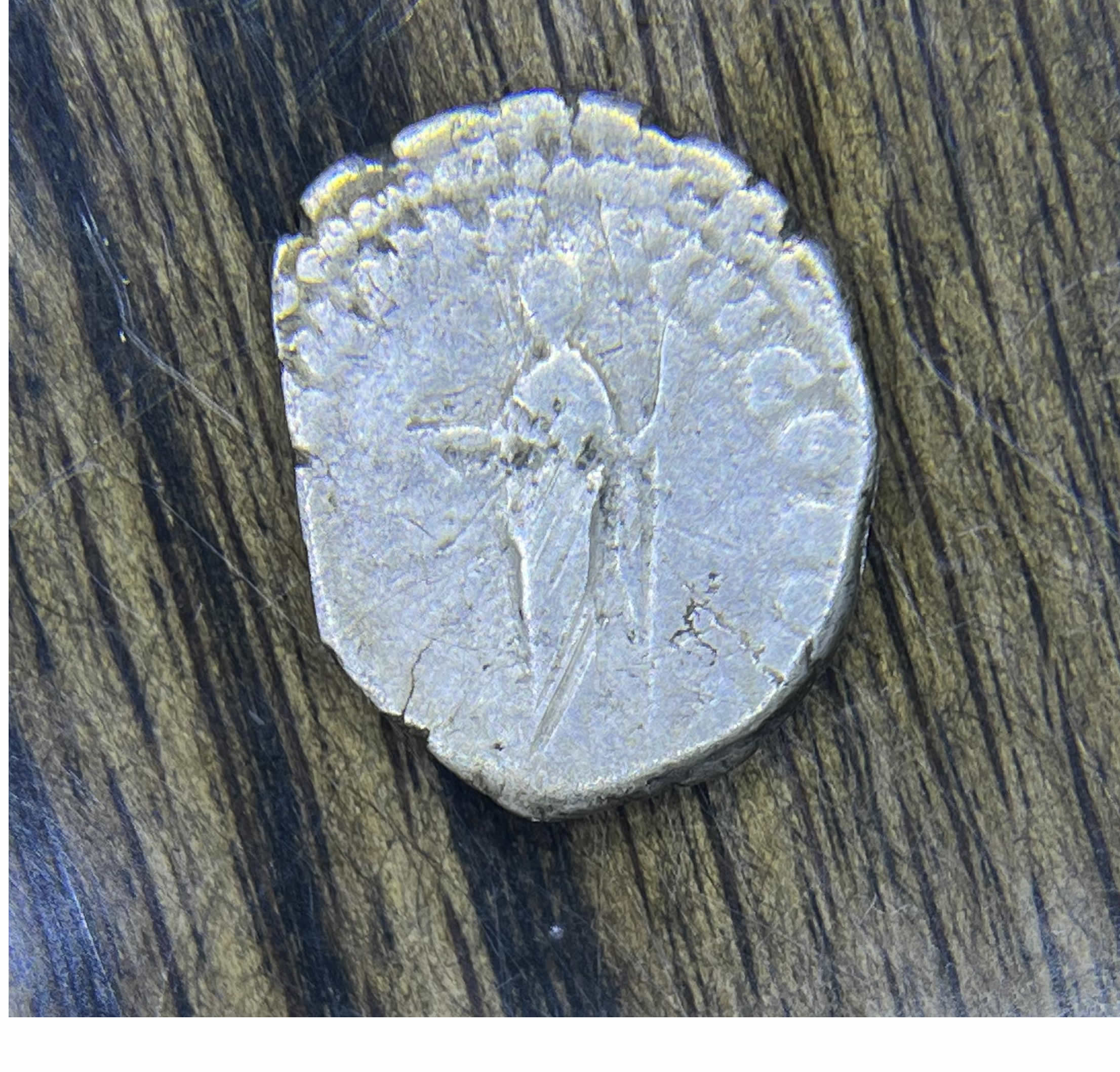 186 187 AD Commodus Reverse Hilaritas with branch right long palm branch left FULL