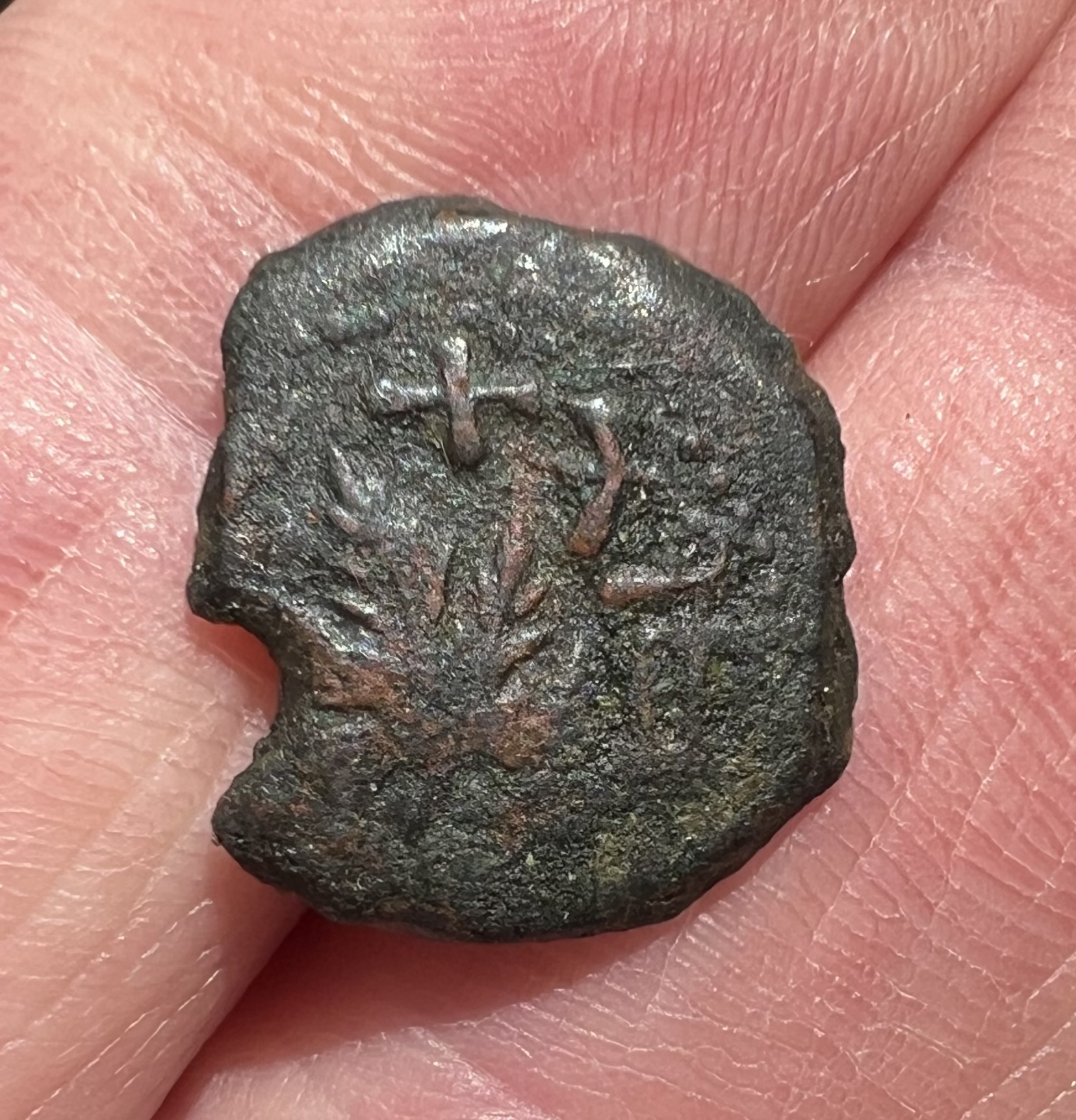 68 AD Jewish coin 3 struck by rebels Vine leaf on small branch FREEDOM OF ZION reverse FULL