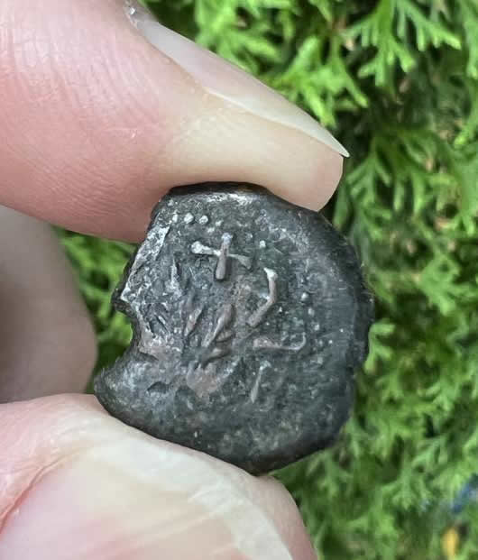 68 AD Jewish coin struck by rebels Vine leaf on small branch FREEDOM OF ZION reverse FULL